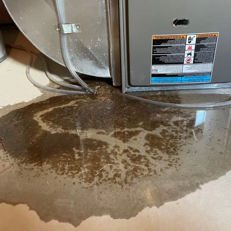 Pipe Burst and Leak Restoration in Sandusky County, OH