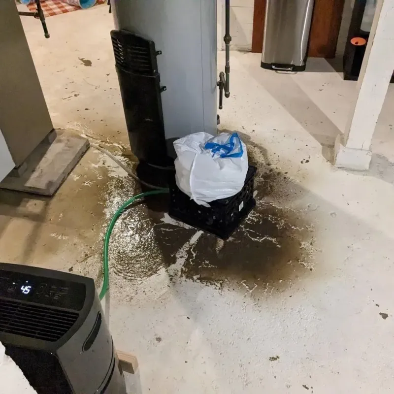 Sewage Backup Cleanup Service in Sandusky County, OH